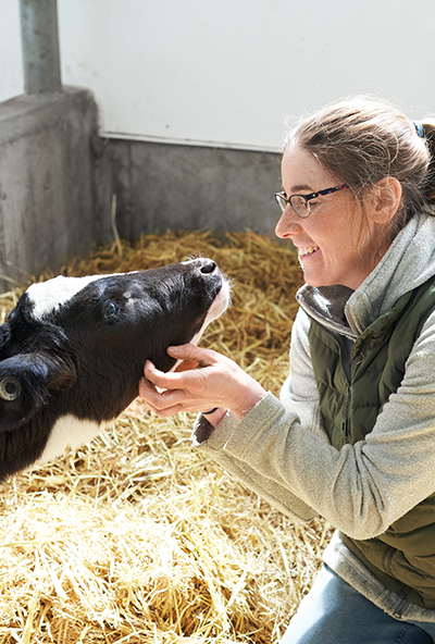 membre agropur avec vache