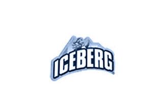 iceberg logo bleu