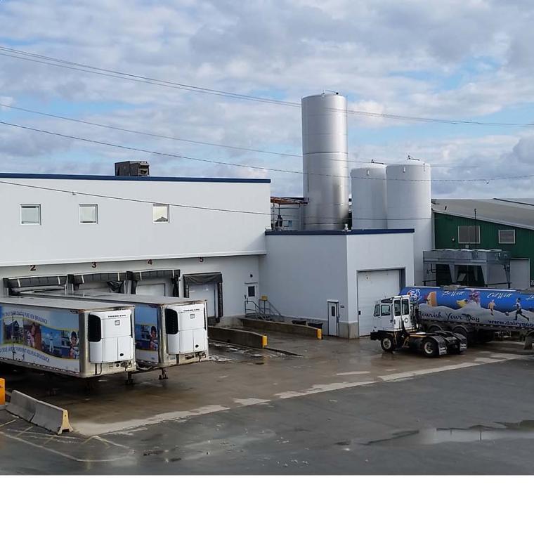 Miramichi Plant