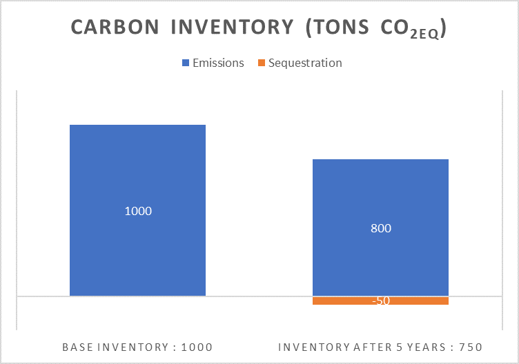 Carbon Inventory