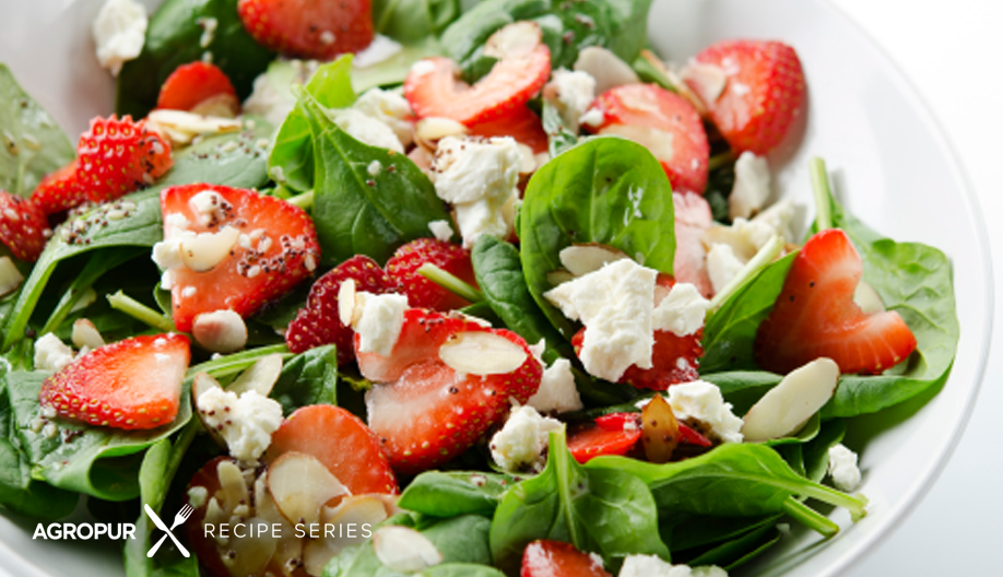 Tangy Feta Salad